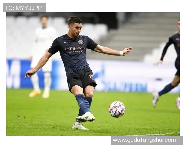 费兰托雷斯：从青训新星到世界足球舞台的璀璨之星