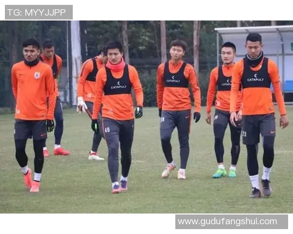 鲁能与辽足激战正酣精彩直播全程回顾与赛后分析